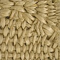 Textile Fragment with a Leaf, Wool, linen; plain weave, tapestry weave